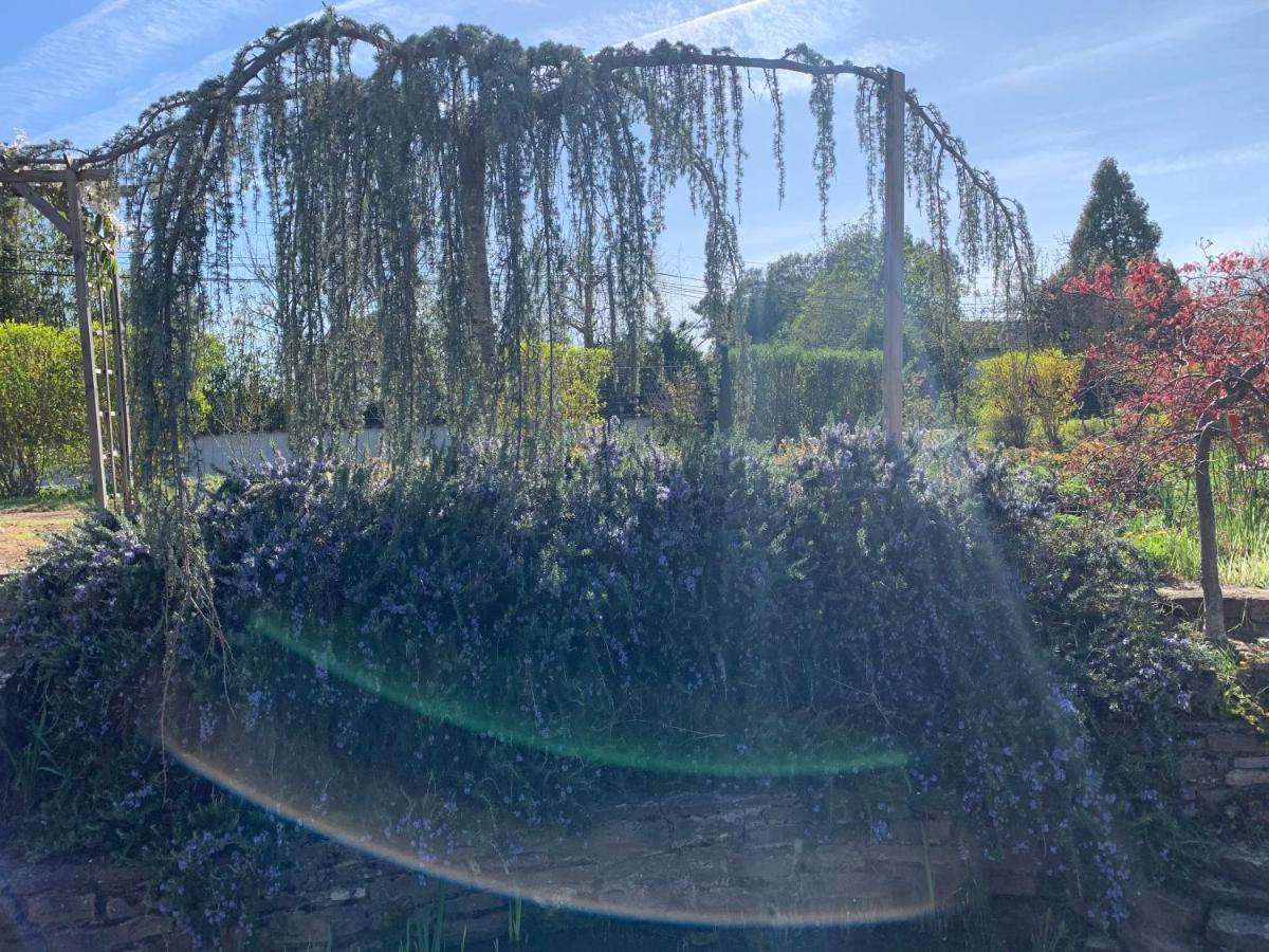 Villa La Grenouillère Caussade Esterno foto
